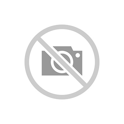 Прилавок c индукционными конфорками пристенный RH43AРS-IND ШС Capital 1505x910x1380(830)мм
